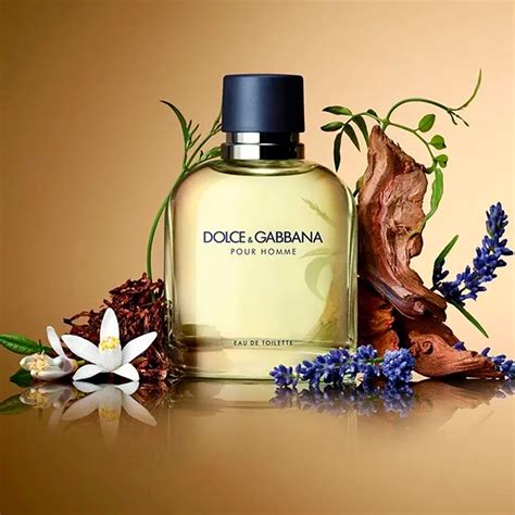 dolce gabbana articulos